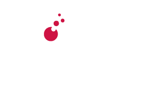 Logo de l'ESN Acelys Services Numériques en blanc